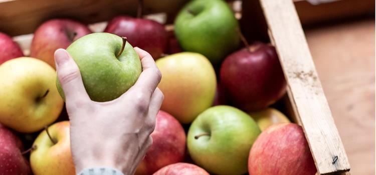 Apfel-Essen-Obst-af