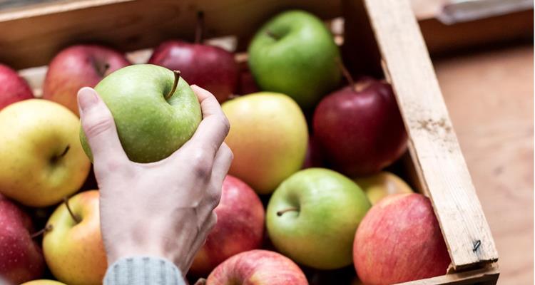 Apfel-Essen-Obst-af