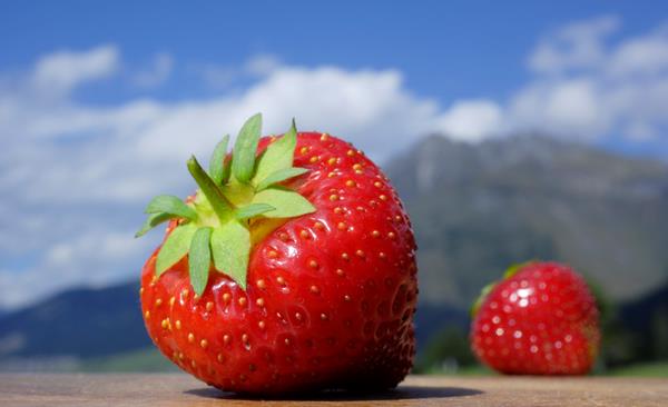 Erdbeere-Martelltal-fb