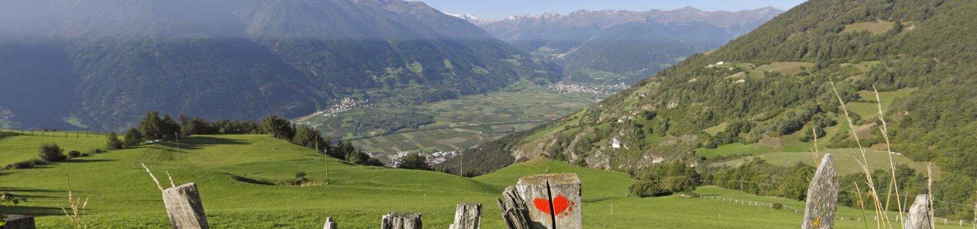 wandern-vinschgerhöhenweg-ausblick-vinschgau-fb