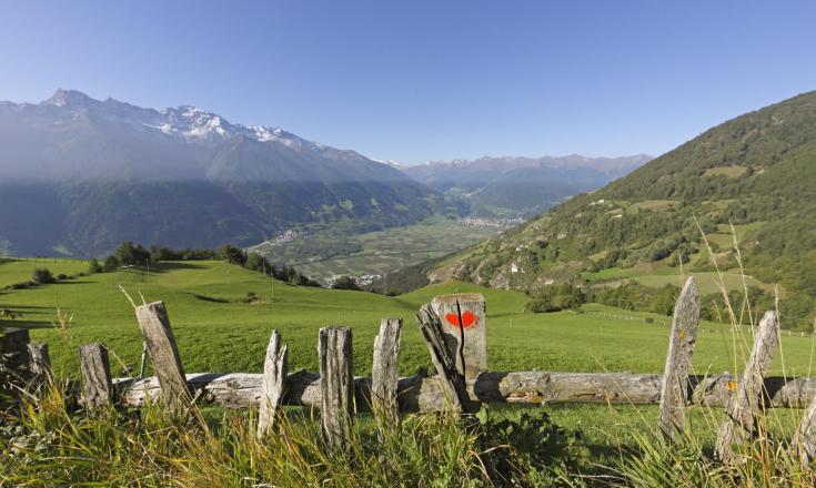 Vista in estate