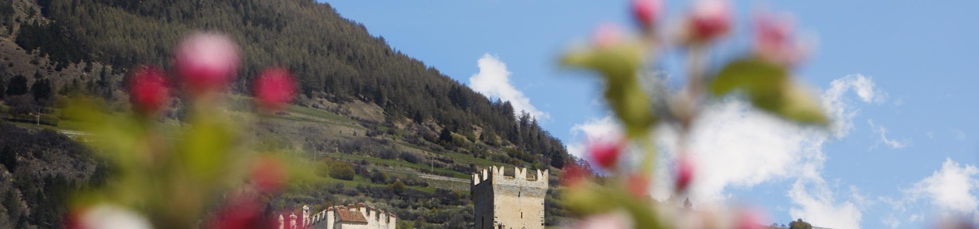 sehenswürdigkeiten-churburg-vinschgau-fb