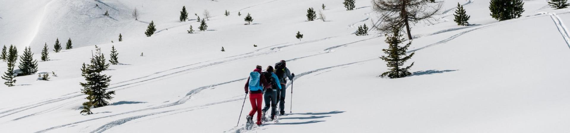 schneeschuhwandern-trafoi-ortlergebiet-mw