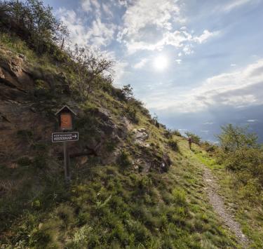 landschaft-vinschger-hoehenweg-fb