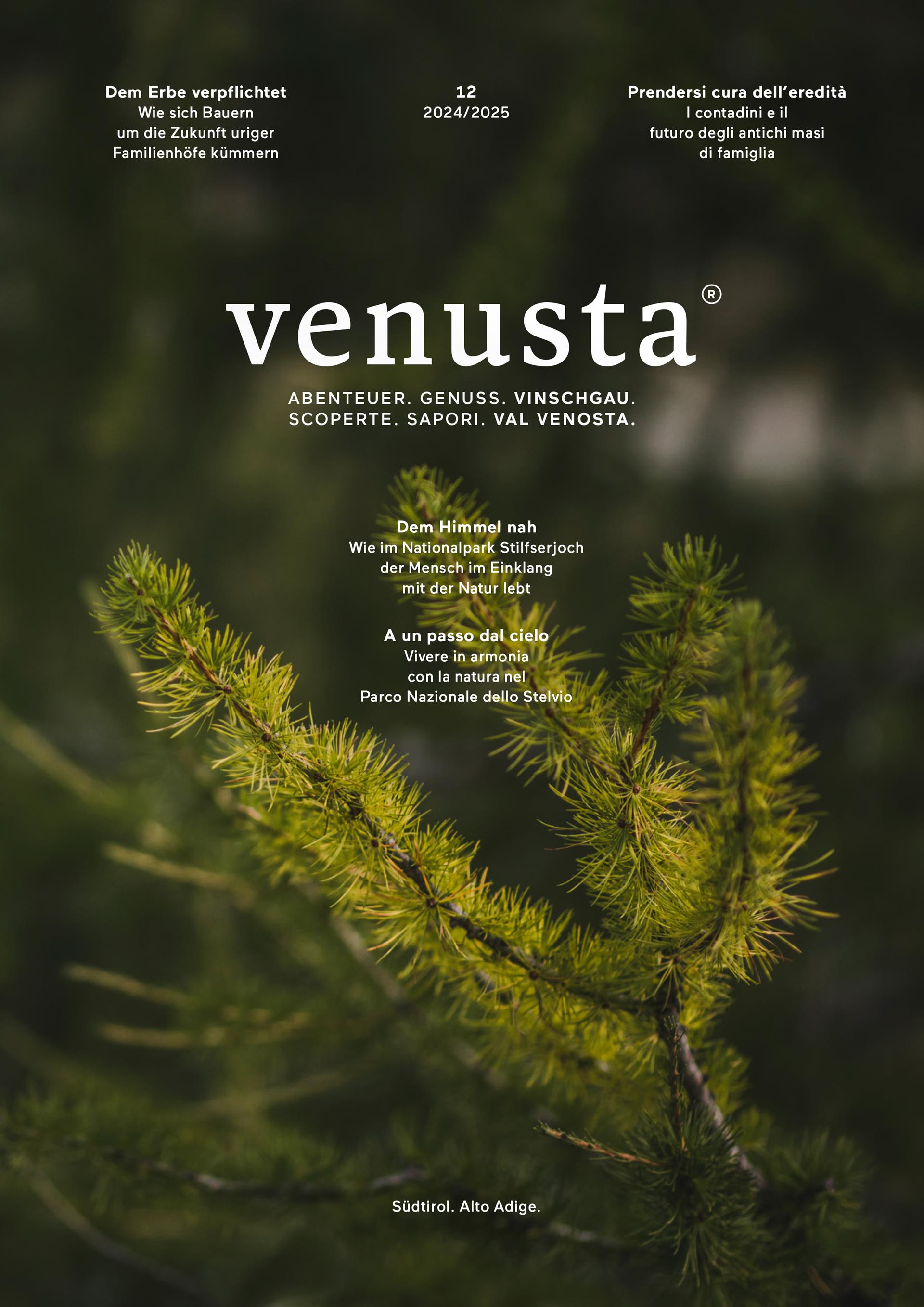 venusta12-cover