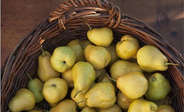 herstprogramm-auslese-tvsl-2023