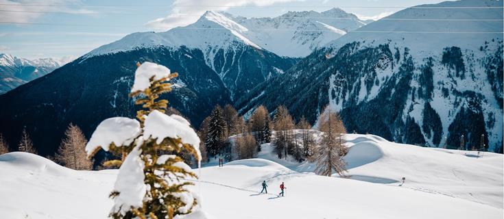 -bp-490566-c-benjamin-pfitscher