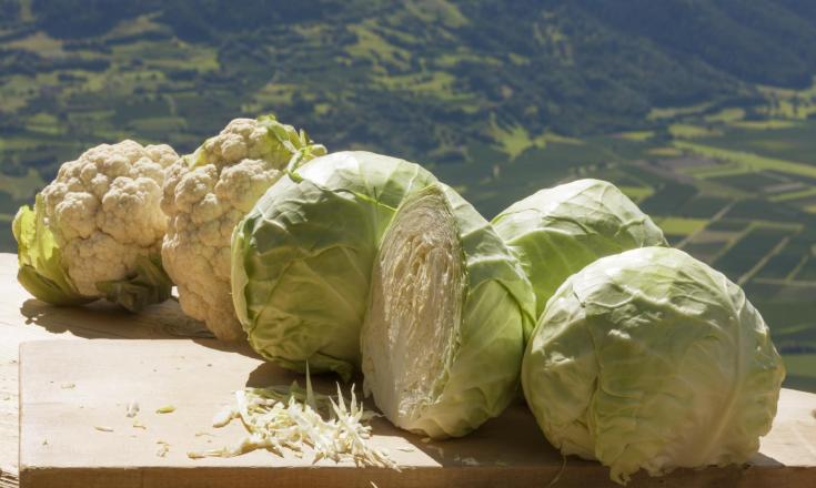 produkte-kraut-blumenkohl-vinschgau-fb