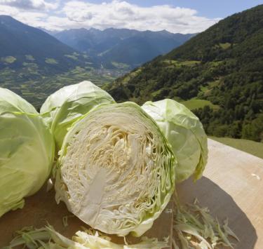 produkte-kraut-panoramablick-vinschgau-fb