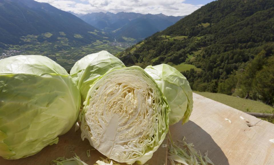 produkte-kraut-panoramablick-vinschgau-fb