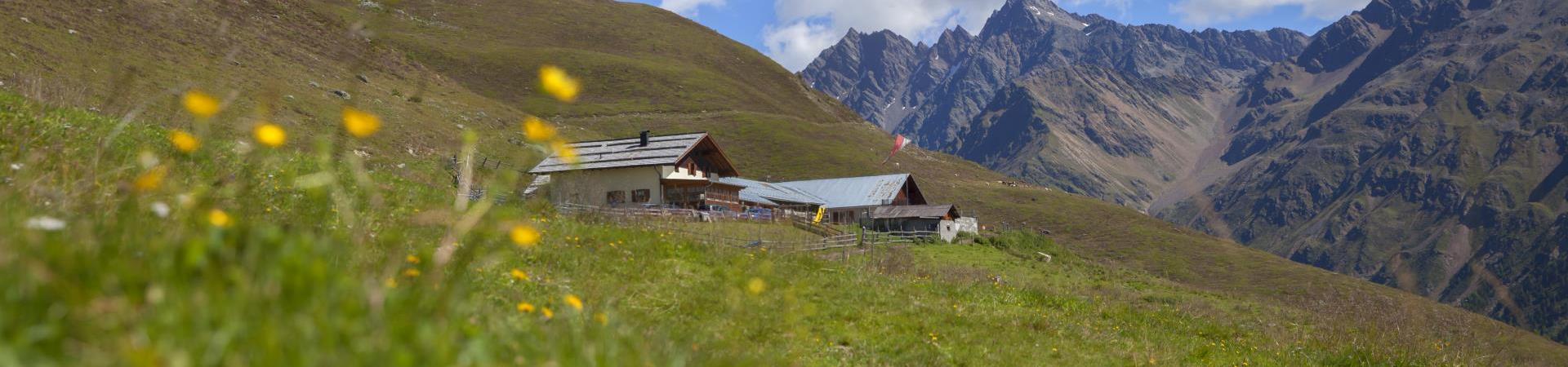 almwirtschaft-planeileralm-vinschgau-fb