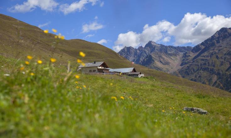 almwirtschaft-planeileralm-vinschgau-fb