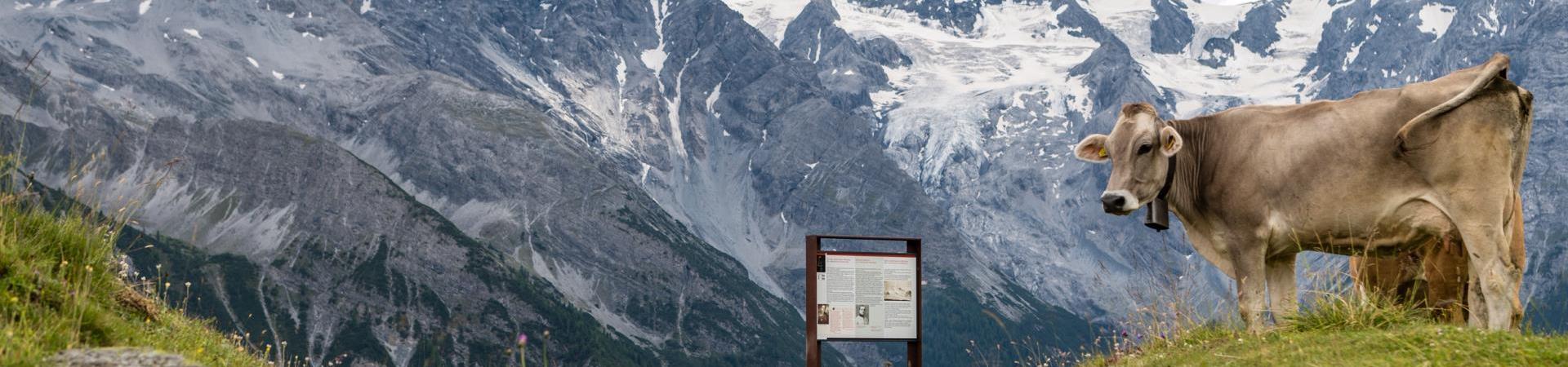 Wandern-Ortler Höhenweg-Ortlergebiet-hr