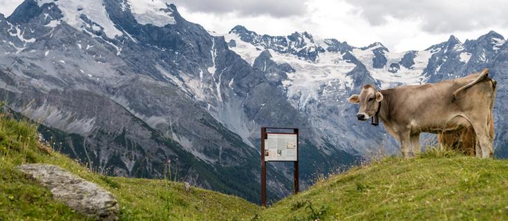Wandern-Ortler Höhenweg-Ortlergebiet-hr