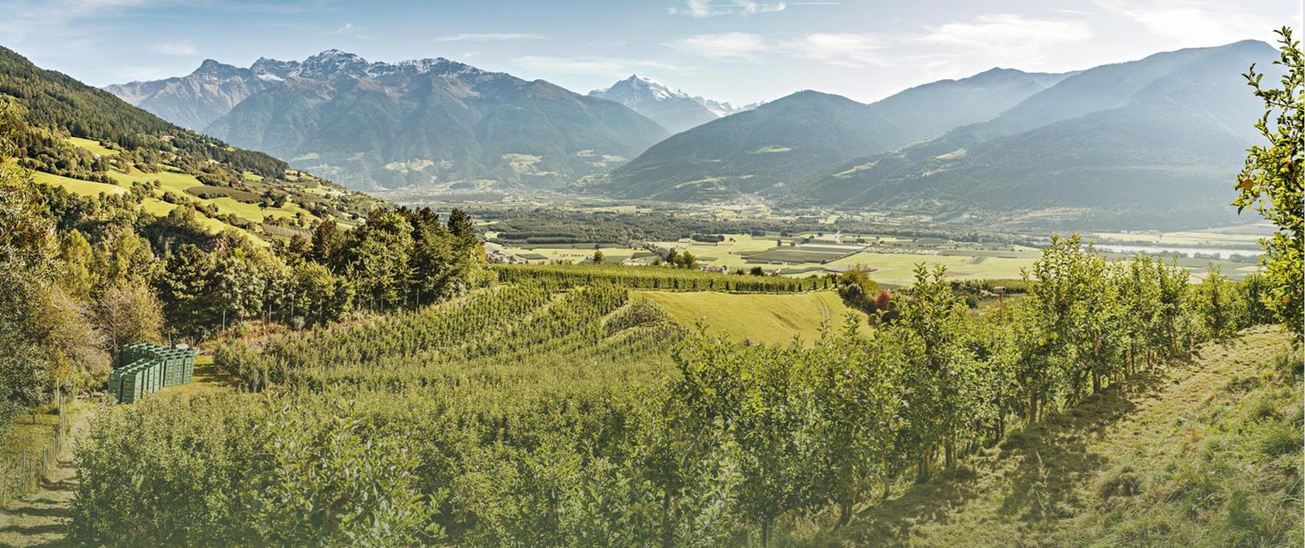 2026-vinschger-apfeltage