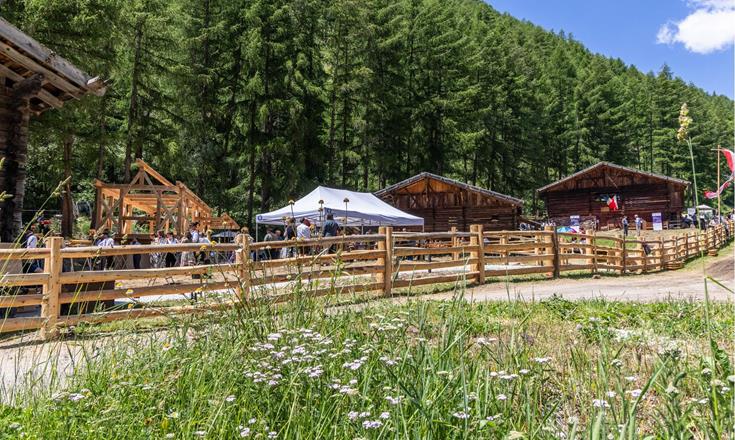 campus-transhumanz-2025-peter-santer-276