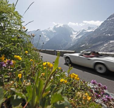 stilfserjoch-straße-auto-vinschgau-fb