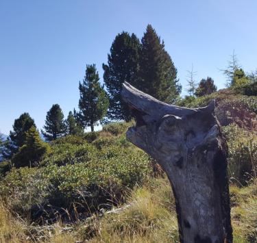 Paesaggio naturale