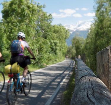 Bici & bike