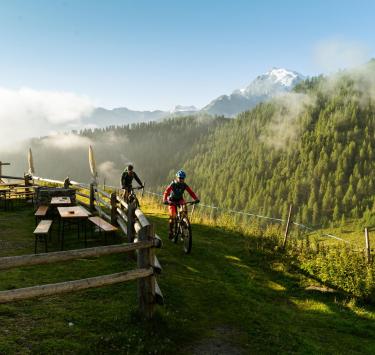 Bici & bike