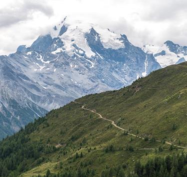 Stelvio Pass