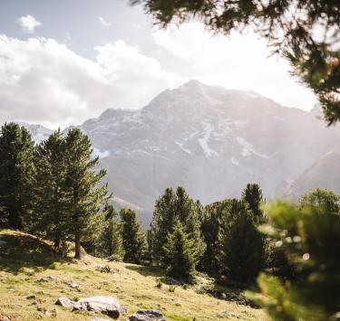 Paesaggio naturale