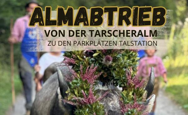 almabtrieb-tarsch