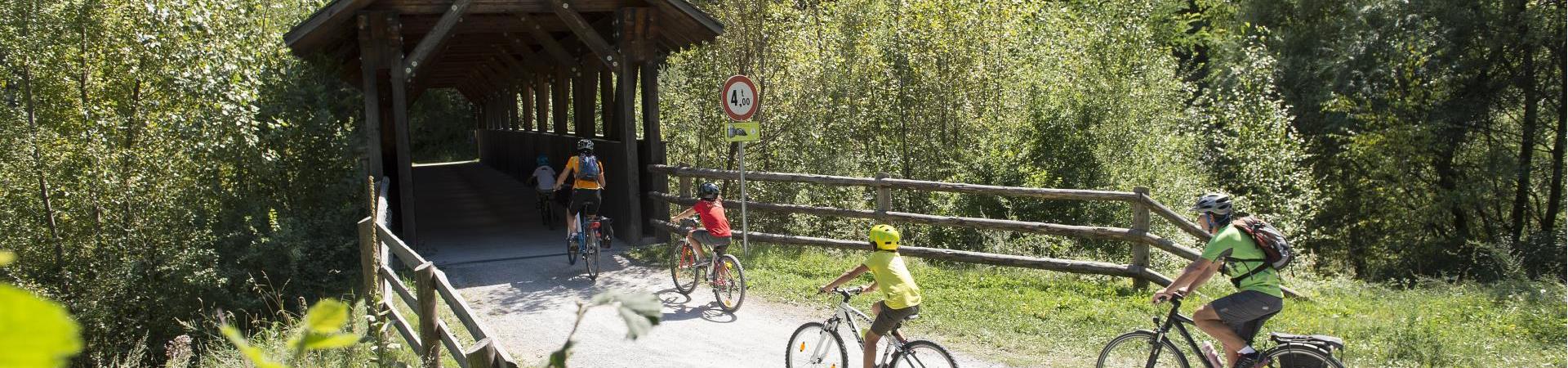 Una famiglia che fa un giro in bici