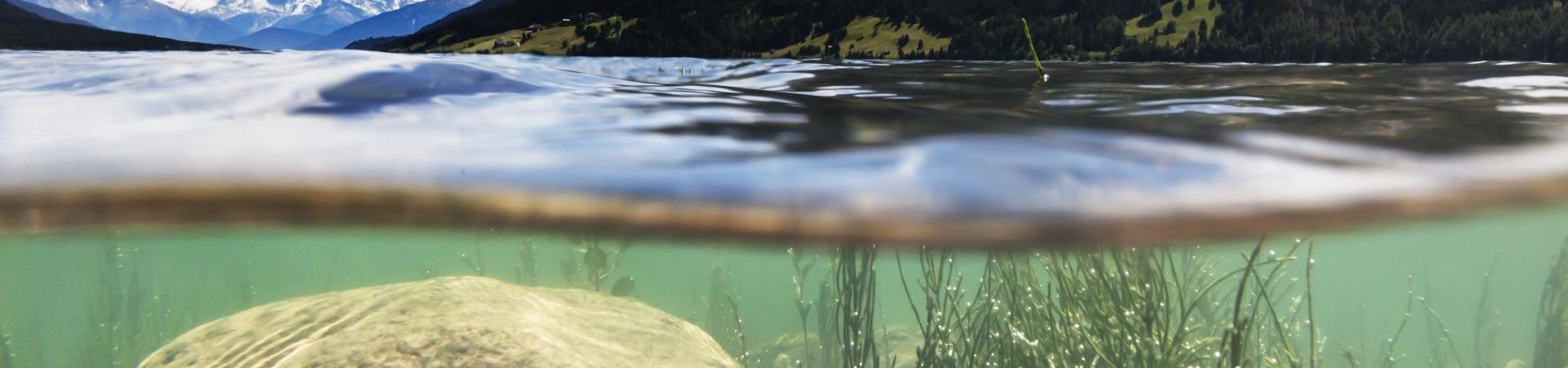 reschensee-blick-unter-wasser-fb