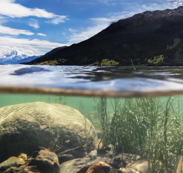 reschensee-blick-unter-wasser-fb