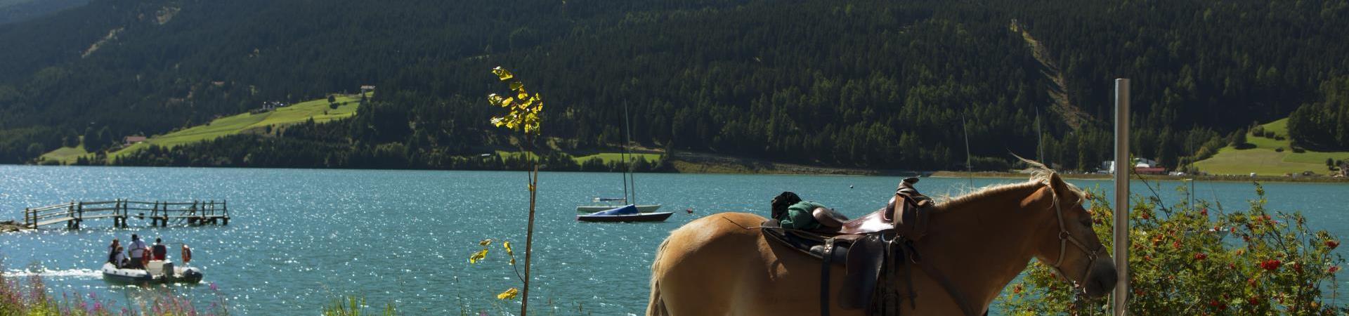 freizeit-reiten-vinschgau-fb