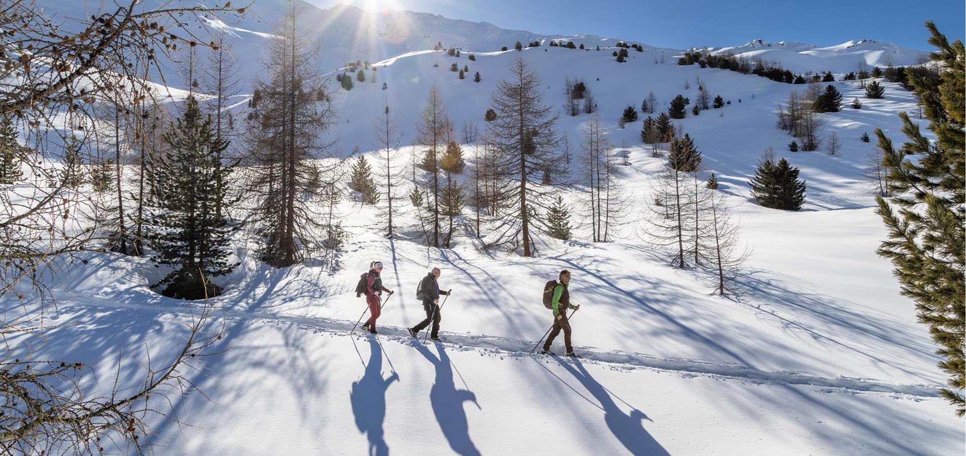 winterwandern-peter-santer-maerz-2024-706