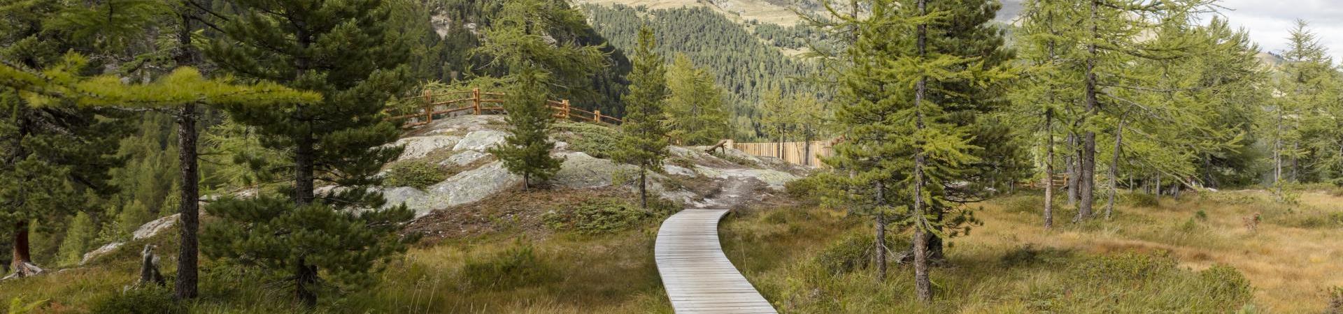 landschaft-herbstauslese-schluchtenweg-weg-durch-Hochmoor--vinschgau-fb