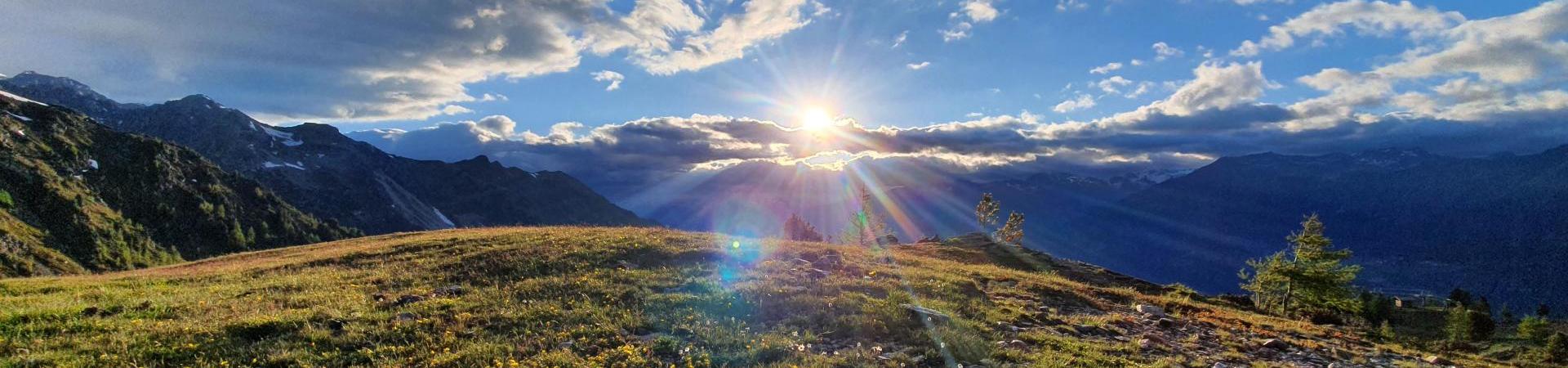 Sommer-Aussicht-Berg