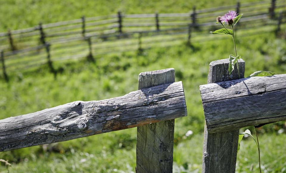 Wandern-Holzzaun-Latsch-Martell-hh