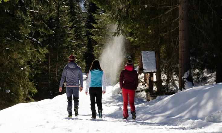 winterwandern-trafoi-ortlergebiet-mw