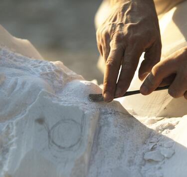 schl-laas033-mg-3902-8