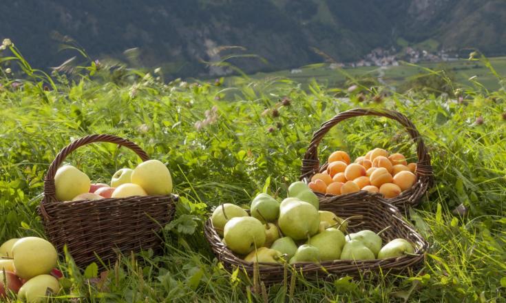 produkte-apfel-marillen-palabirnen-vinschgau-fb