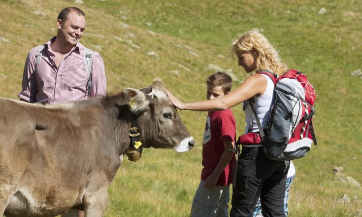 wandern-familie-kuh-vinschgau-fb