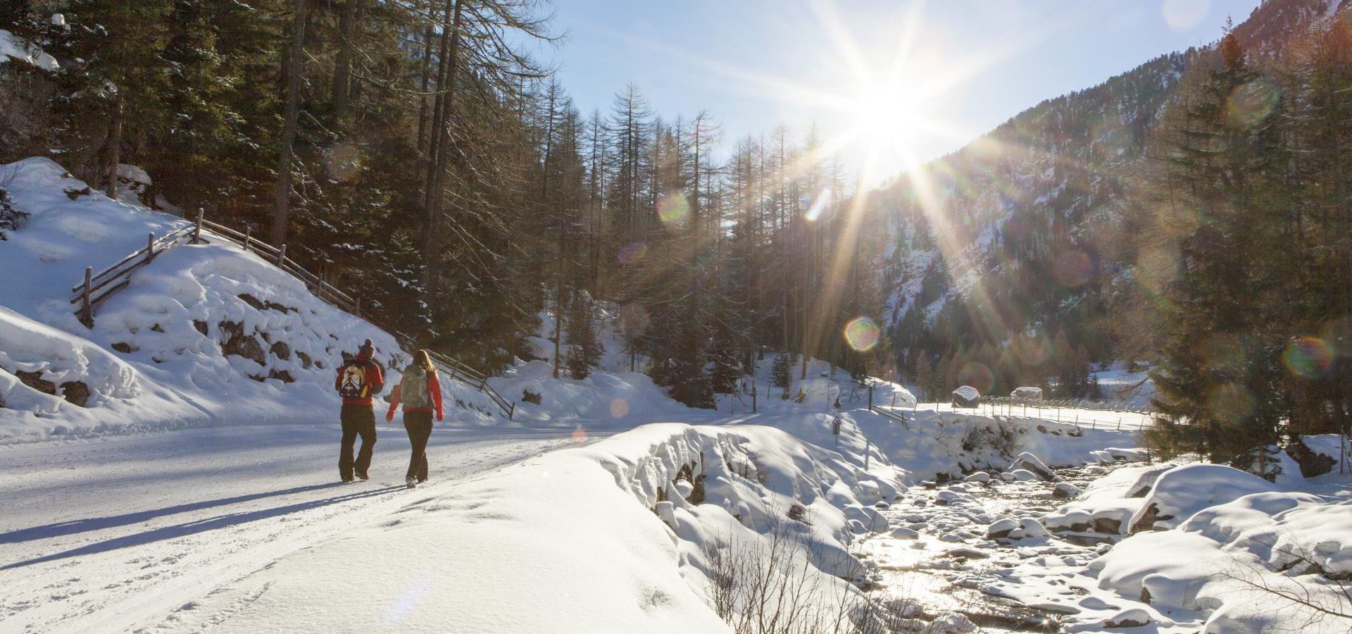 winterwandern-winterwanderweg-vinschgau-fb