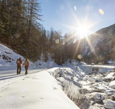 winterwandern-winterwanderweg-vinschgau-fb