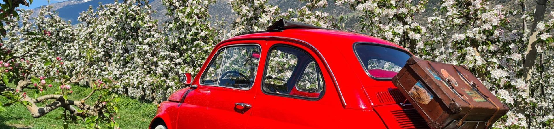 Auto-Frühling