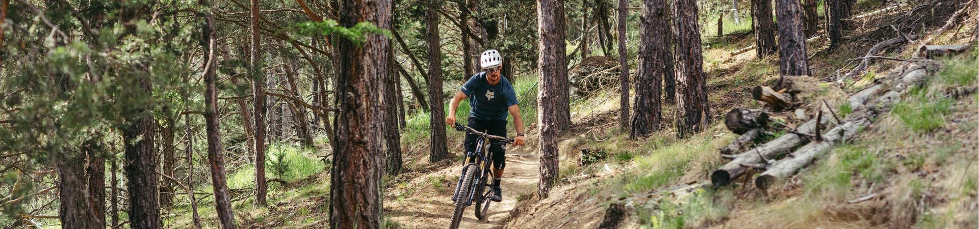 -bp-579159-c-benjamin-pfitscher