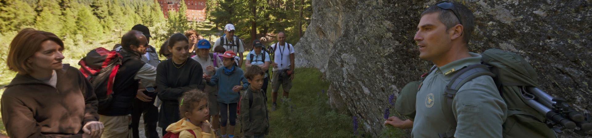 Esplorando il Parco Nazionale