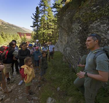 Esplorando il Parco Nazionale
