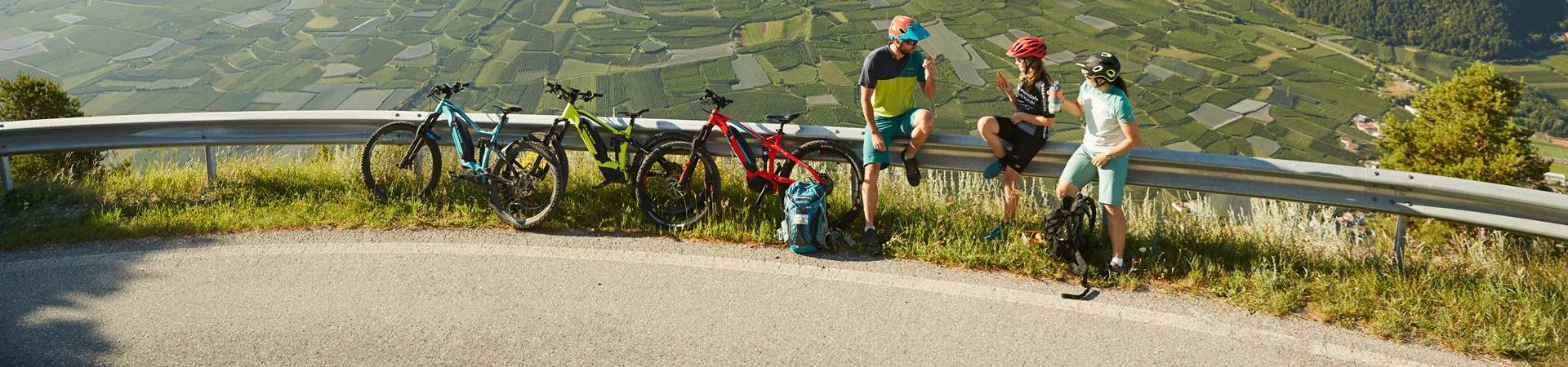 Biken-Sonnenberg-Familie-mc