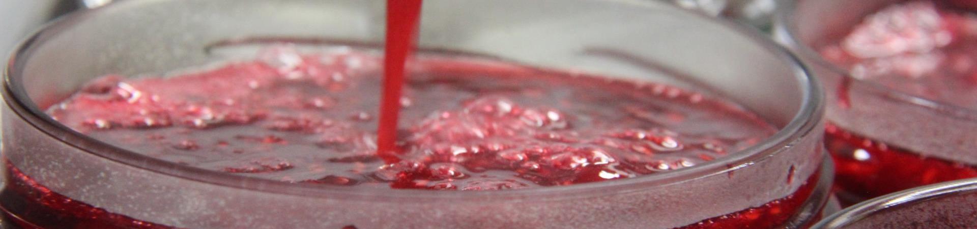 Marmelade-Genuss-Latsch-Martell-Leander Regensburger