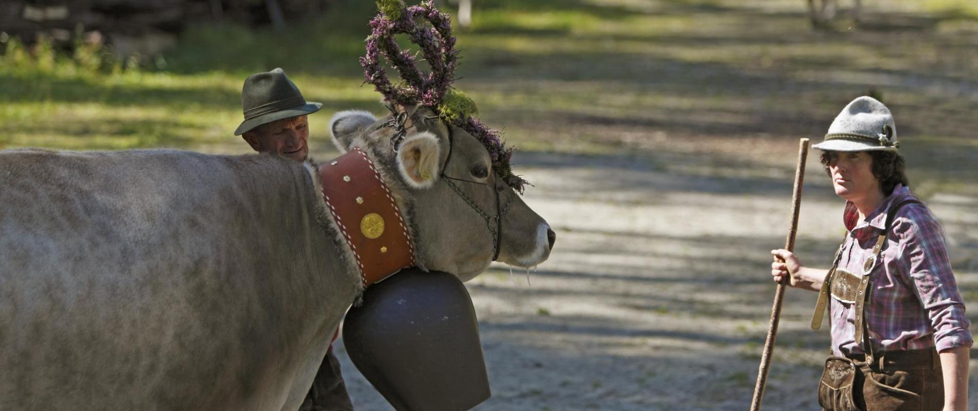 brauchtum-almabtrieb-martelltal-vinschgau-fb