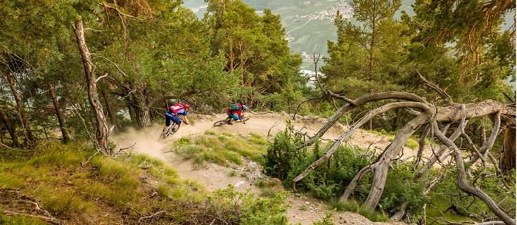 Mountainbike