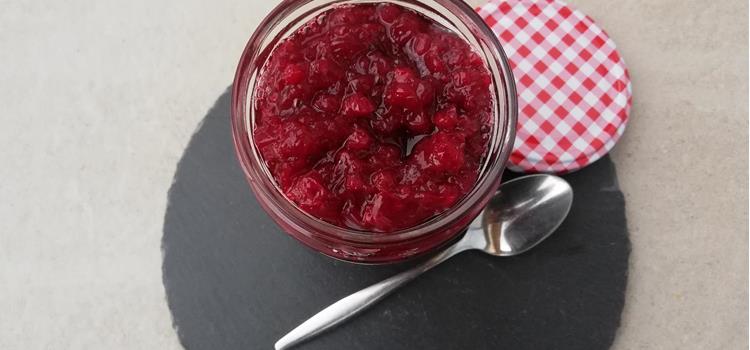 tanja-santer-preiselbeermarmelade-6